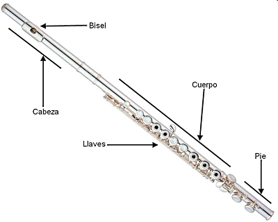 partes-flauta